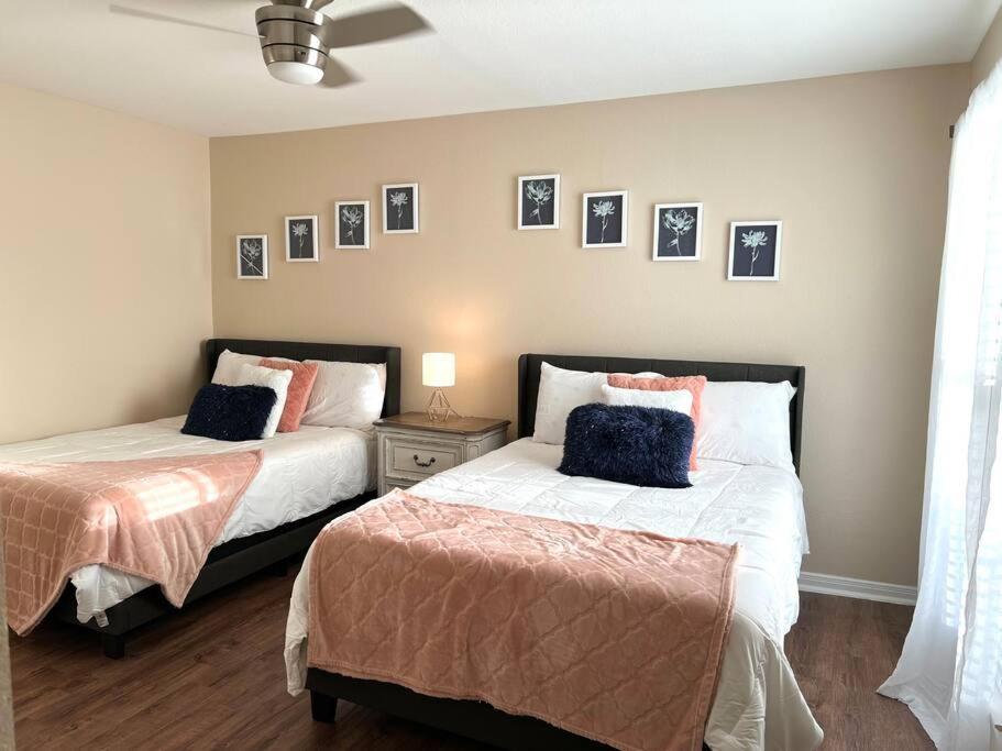 Lovely 2 Bedroom/2 Bath Houston, Heights/Galleria 外观 照片